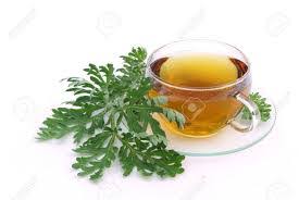 Herbal Tea Anti Parasite - proti parazitům - recenze - kapky - Amazon